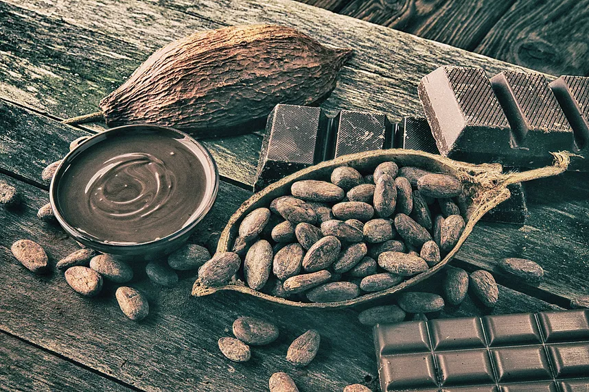 Praliné Noisettes 60% - La Chocolaterie Gourmande